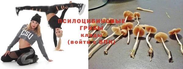 стаф Горнозаводск
